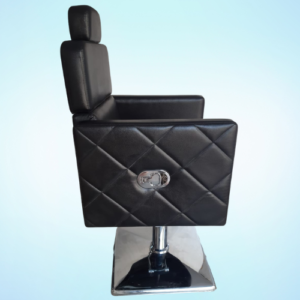 Parlourchair Stainless Steel Salon Chair