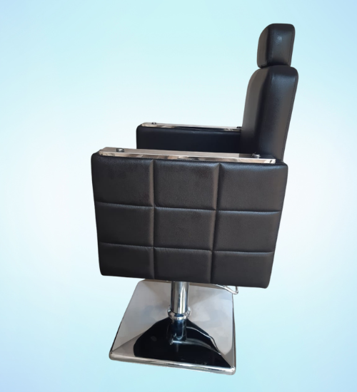 SALONCARE Styling Chair
