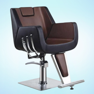 casa professional hydraulic salon chair