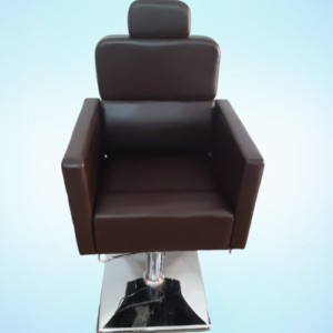 Sleek Modern Design Hydraulic Salon Chair