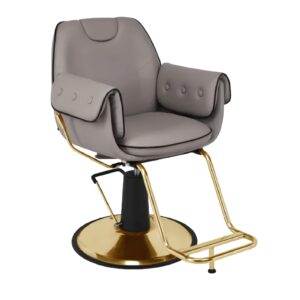 Lady's Beauty Chair (HT-3102B)