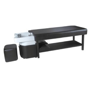 Hair Wash Chair (HT-8118)