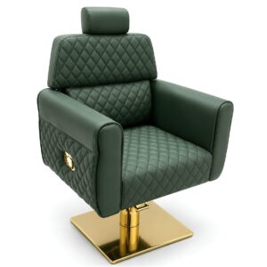 Salon Chair (KA-223)